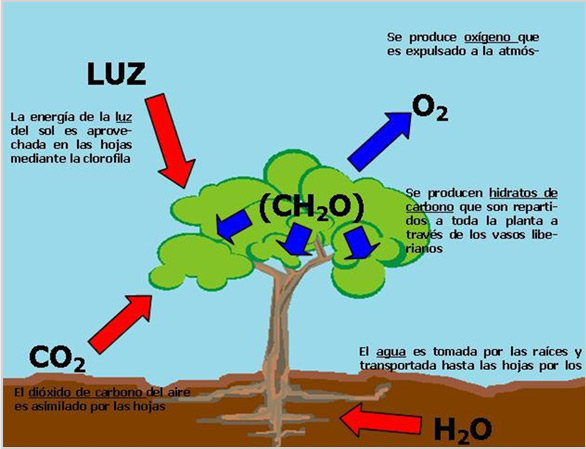 Era | Energías Renovables Argentinas