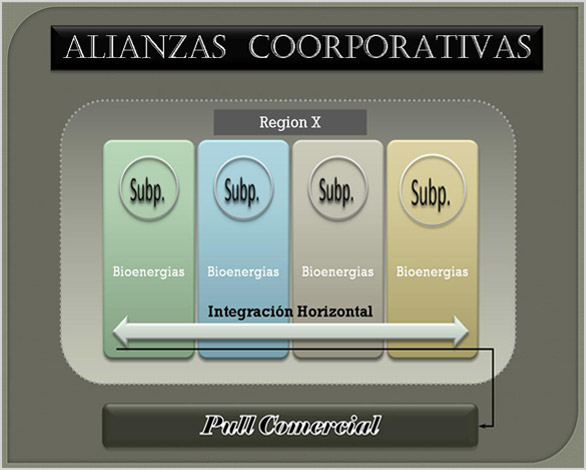 Era | Energ&iacute;as Renovables Argentinas