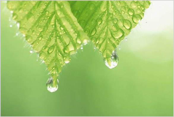 Era | Energ&iacute;as Renovables Argentinas