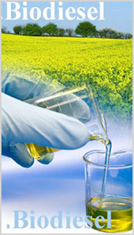 Era | Energ&iacute;as Renovables Argentinas